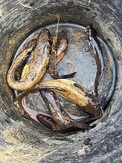 Нажмите на изображение для увеличения.

Название:	IMG_20251111_082455_850.jpg
Просмотров:	186
Размер:	483.8 Кб
ID:	4541474