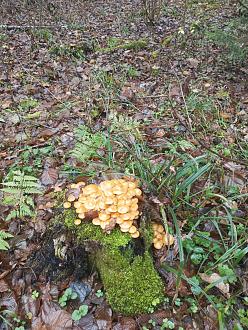 Нажмите на изображение для увеличения.

Название:	IMG_20251111_153113_127.jpg
Просмотров:	41
Размер:	690.6 Кб
ID:	4541501