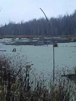 Нажмите на изображение для увеличения.

Название:	IMG_20251111_161510_639.jpg
Просмотров:	39
Размер:	380.1 Кб
ID:	4541503