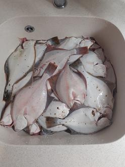 Нажмите на изображение для увеличения.  Название:	2025-11-11.jpg Просмотров:	87 Размер:	269.6 Кб ID:	4541551