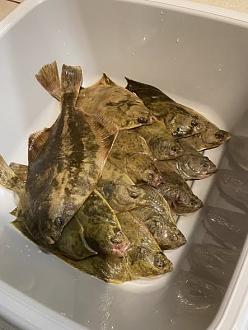 Нажмите на изображение для увеличения.

Название:	557609630_24889538200658409_3550636908413136591_n.jpg
Просмотров:	87
Размер:	54.7 Кб
ID:	4541563