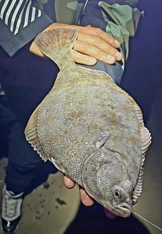 Нажмите на изображение для увеличения.  Название:	579954060_1355133579683403_6527305729657137982_n.jpg Просмотров:	0 Размер:	674.4 Кб ID:	4541568