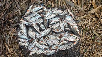 Нажмите на изображение для увеличения.

Название:	IMG_20251109_190625.jpg
Просмотров:	48
Размер:	657.0 Кб
ID:	4541579