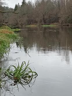 Нажмите на изображение для увеличения.

Название:	IMG_20251112_141342_113.jpg
Просмотров:	115
Размер:	343.0 Кб
ID:	4541591