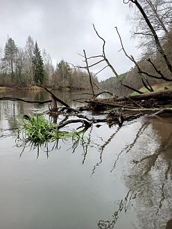 Нажмите на изображение для увеличения.

Название:	IMG_20251112_141354_961.jpg
Просмотров:	61
Размер:	392.0 Кб
ID:	4541592