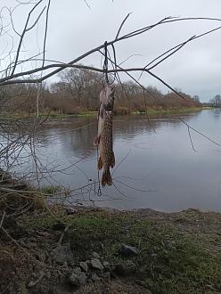 Нажмите на изображение для увеличения.

Название:	IMG_20251112_170447_424.jpg
Просмотров:	75
Размер:	413.2 Кб
ID:	4541595