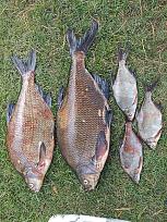 Нажмите на изображение для увеличения.  Название:	IMG_20250817_151128.jpg Просмотров:	67 Размер:	685.3 Кб ID:	4541642