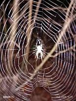 Нажмите на изображение для увеличения.  Название:	IMG_20251113_183519.jpg Просмотров:	0 Размер:	402.8 Кб ID:	4541684