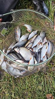 Нажмите на изображение для увеличения.

Название:	20251114_151831.jpg
Просмотров:	0
Размер:	661.9 Кб
ID:	4541900