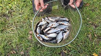 Нажмите на изображение для увеличения.

Название:	20251114_152102.jpg
Просмотров:	0
Размер:	692.7 Кб
ID:	4541901