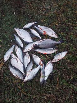 Нажмите на изображение для увеличения.

Название:	IMG_20251114_161831.jpg
Просмотров:	164
Размер:	515.9 Кб
ID:	4541772