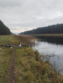 Нажмите на изображение для увеличения.

Название:	IMG_20251114_134721.jpg
Просмотров:	82
Размер:	527.4 Кб
ID:	4541773