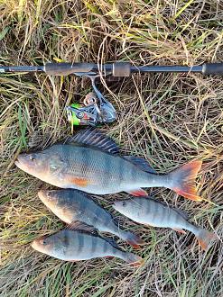 Нажмите на изображение для увеличения.

Название:	
Просмотров:	0
Размер:	674.9 Кб
ID:	4541823