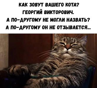 Нажмите на изображение для увеличения.

Название:	IMG-19d6199c851e67691047963e85d01e3c-V.jpg
Просмотров:	164
Размер:	186.9 Кб
ID:	4541957