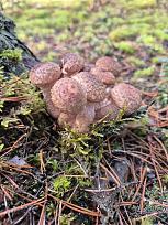 Нажмите на изображение для увеличения.

Название:	1.jpg
Просмотров:	74
Размер:	506.4 Кб
ID:	4541968