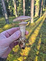 Нажмите на изображение для увеличения.

Название:	5.jpg
Просмотров:	64
Размер:	358.3 Кб
ID:	4541971