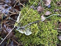 Нажмите на изображение для увеличения.

Название:	7.jpg
Просмотров:	65
Размер:	545.2 Кб
ID:	4541973