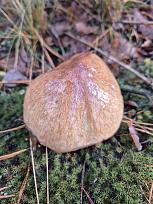 Нажмите на изображение для увеличения.

Название:	8.jpg
Просмотров:	65
Размер:	457.2 Кб
ID:	4541974