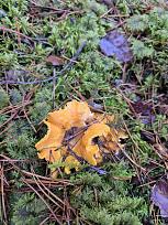 Нажмите на изображение для увеличения.

Название:	9.jpg
Просмотров:	65
Размер:	511.7 Кб
ID:	4541975