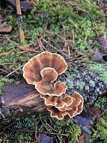 Нажмите на изображение для увеличения.

Название:	12.jpg
Просмотров:	63
Размер:	521.2 Кб
ID:	4541978