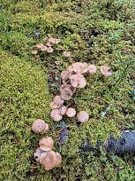 Нажмите на изображение для увеличения.

Название:	13.jpg
Просмотров:	65
Размер:	680.8 Кб
ID:	4541979