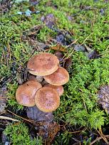 Нажмите на изображение для увеличения.

Название:	14.jpg
Просмотров:	65
Размер:	523.6 Кб
ID:	4541980