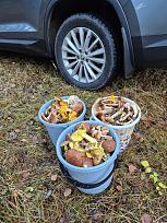 Нажмите на изображение для увеличения.

Название:	15.jpg
Просмотров:	79
Размер:	624.3 Кб
ID:	4541981