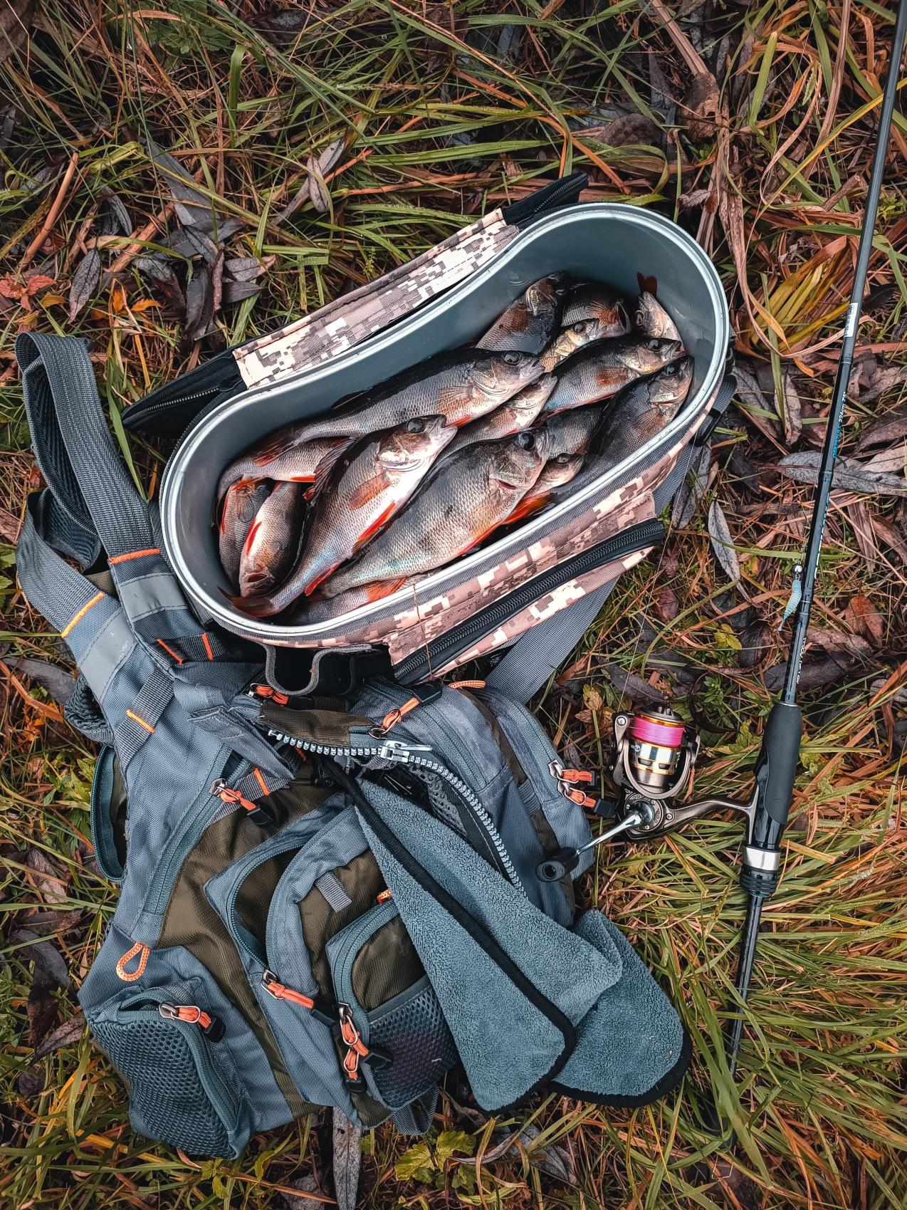 Нажмите на изображение для увеличения.  Название:	IMG_20251116_160543.jpg Просмотров:	0 Размер:	666.9 Кб ID:	4541986