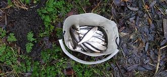 Нажмите на изображение для увеличения.  Название:	IMG_20251117_160058.jpg Просмотров:	0 Размер:	563.1 Кб ID:	4542023