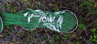 Нажмите на изображение для увеличения.  Название:	IMG_20251117_155943.jpg Просмотров:	0 Размер:	592.6 Кб ID:	4542024