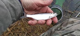 Нажмите на изображение для увеличения.  Название:	IMG_20251117_124156.jpg Просмотров:	0 Размер:	434.9 Кб ID:	4542025