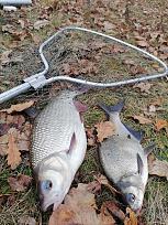 Нажмите на изображение для увеличения.

Название:	IMG_20251108_144638.jpg
Просмотров:	247
Размер:	671.0 Кб
ID:	4542046