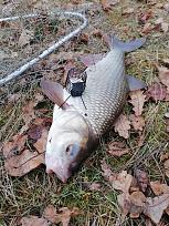 Нажмите на изображение для увеличения.

Название:	IMG_20251108_144301 (1).jpg
Просмотров:	134
Размер:	668.7 Кб
ID:	4542047