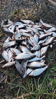 Нажмите на изображение для увеличения.  Название:	IMG20251115173529.jpg Просмотров:	6 Размер:	616.2 Кб ID:	4542079