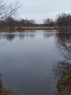 Нажмите на изображение для увеличения.  Название:	IMG_20251119_171125_388.jpg Просмотров:	2 Размер:	291.1 Кб ID:	4542162