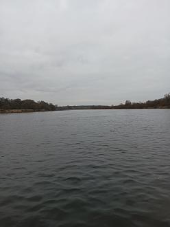 Нажмите на изображение для увеличения.  Название:	IMG_20251119_165629_695.jpg Просмотров:	2 Размер:	162.1 Кб ID:	4542163