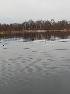 Нажмите на изображение для увеличения.  Название:	IMG_20251119_161853_872.jpg Просмотров:	2 Размер:	199.2 Кб ID:	4542164