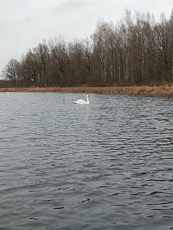 Нажмите на изображение для увеличения.  Название:	IMG_20251119_144939_531.jpg Просмотров:	2 Размер:	442.9 Кб ID:	4542165
