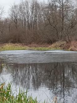 Нажмите на изображение для увеличения.  Название:	IMG_20251119_135547_456.jpg Просмотров:	2 Размер:	375.2 Кб ID:	4542166