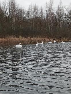 Нажмите на изображение для увеличения.

Название:	IMG_20251119_145043_361.jpg
Просмотров:	86
Размер:	585.6 Кб
ID:	4542167