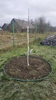 Нажмите на изображение для увеличения.

Название:	20251120_114535.jpg
Просмотров:	95
Размер:	623.1 Кб
ID:	4542209