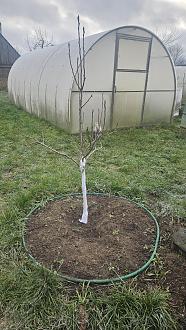 Нажмите на изображение для увеличения.

Название:	20251120_114557.jpg
Просмотров:	79
Размер:	631.1 Кб
ID:	4542210