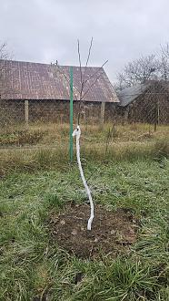 Нажмите на изображение для увеличения.

Название:	20251120_114620.jpg
Просмотров:	78
Размер:	637.6 Кб
ID:	4542211