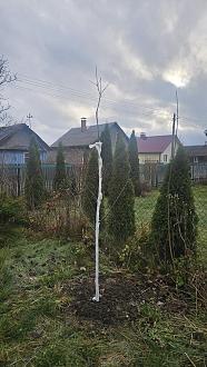 Нажмите на изображение для увеличения.

Название:	20251120_114657.jpg
Просмотров:	77
Размер:	497.6 Кб
ID:	4542213