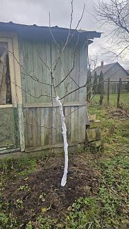 Нажмите на изображение для увеличения.

Название:	20251120_114643.jpg
Просмотров:	78
Размер:	614.5 Кб
ID:	4542214