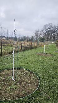 Нажмите на изображение для увеличения.

Название:	20251120_114549.jpg
Просмотров:	76
Размер:	600.4 Кб
ID:	4542215