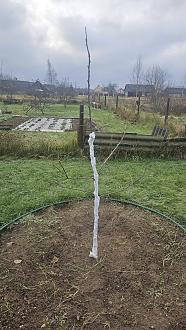 Нажмите на изображение для увеличения.

Название:	20251120_114800.jpg
Просмотров:	77
Размер:	620.9 Кб
ID:	4542216