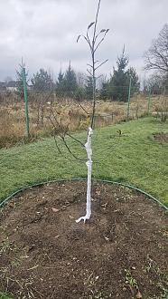 Нажмите на изображение для увеличения.

Название:	20251120_114819.jpg
Просмотров:	76
Размер:	634.1 Кб
ID:	4542217