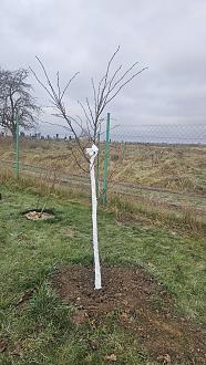 Нажмите на изображение для увеличения.

Название:	20251120_114842.jpg
Просмотров:	76
Размер:	612.1 Кб
ID:	4542219