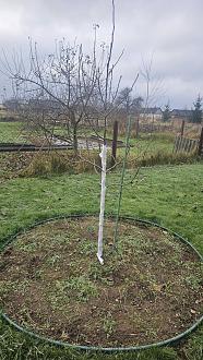 Нажмите на изображение для увеличения.

Название:	20251120_114753.jpg
Просмотров:	75
Размер:	641.8 Кб
ID:	4542221